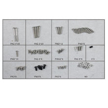 Load image into Gallery viewer, Dynam Tiger Moth Screw set